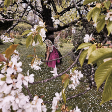 Load image into Gallery viewer, Embroidery Fairy Wings New Zealand