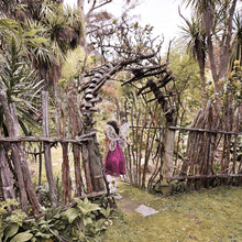 Load image into Gallery viewer, Esmerelda Embroidery Fairy Wings